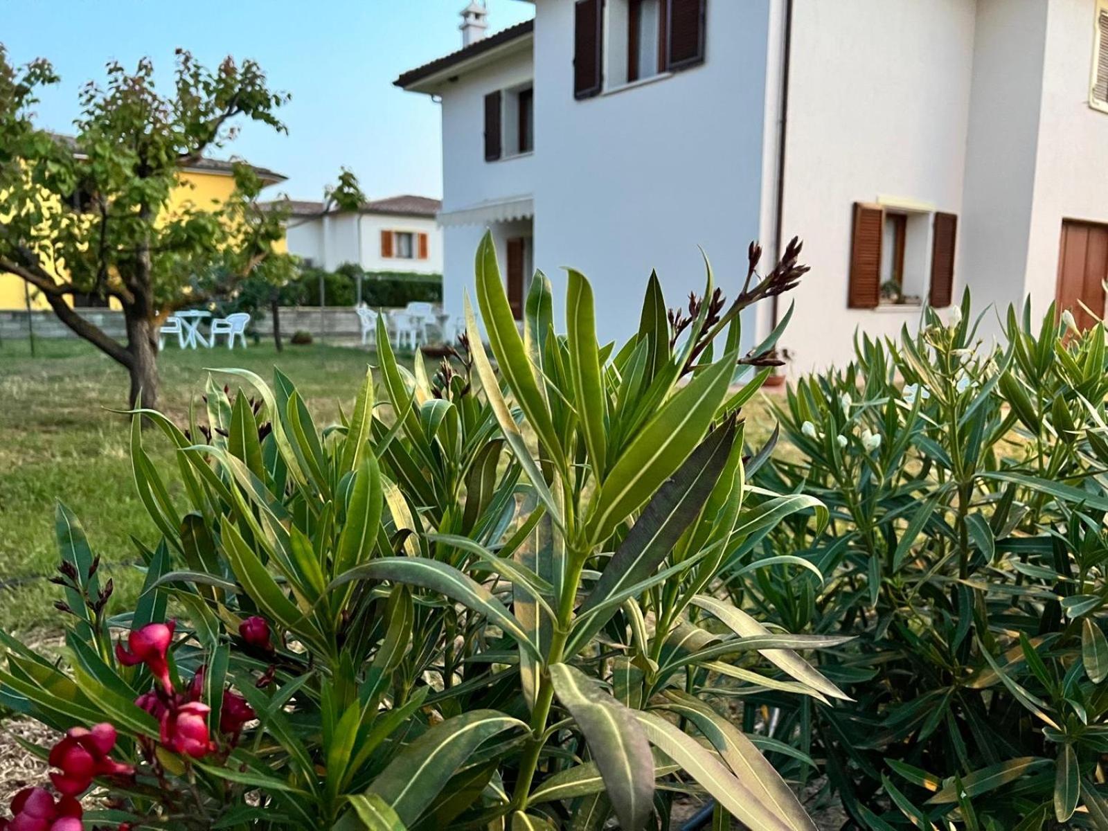 Private Apartment With Garden Cannigione Esterno foto
